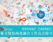 探索有效途徑，打造新型能力——棟方股份兩化融合工作亮點紛呈